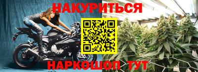 крисы Краснознаменск