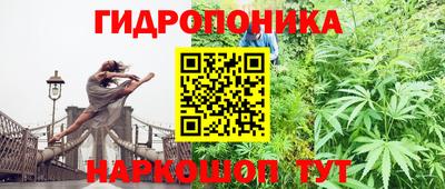 mix Краснодар