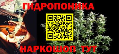 крисы Краснознаменск