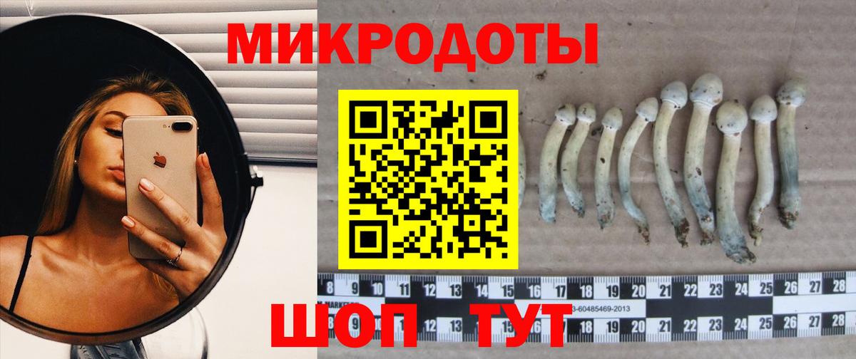 Вейп ТГК  Гашиш  Вход с VPN  A PVP СК   Кокаин  ЭКСТАЗИ  Унеча  МЕФ   ГАШИШ  Бошки Шишки 