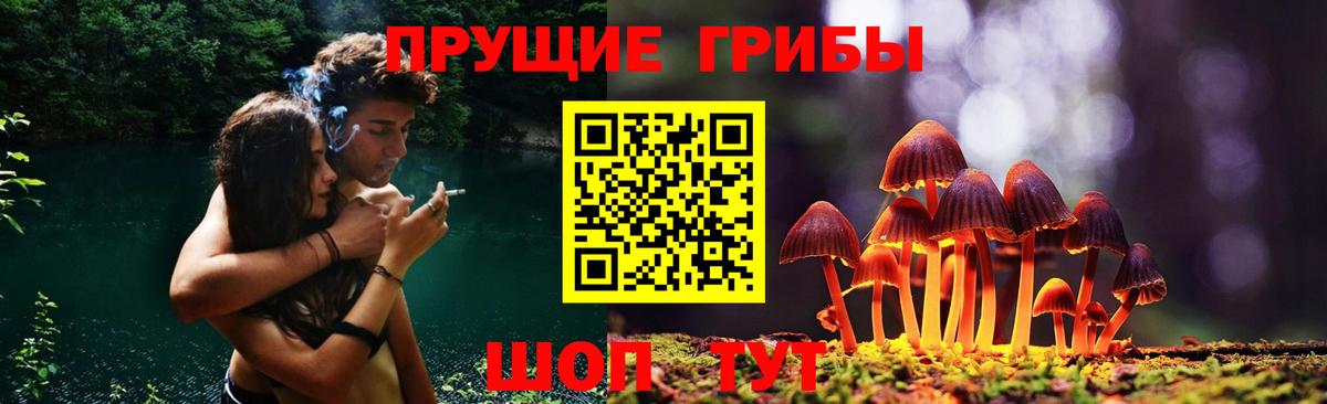 Псилоцибиновые грибы прущие грибы  Вход с VPN  Унеча 